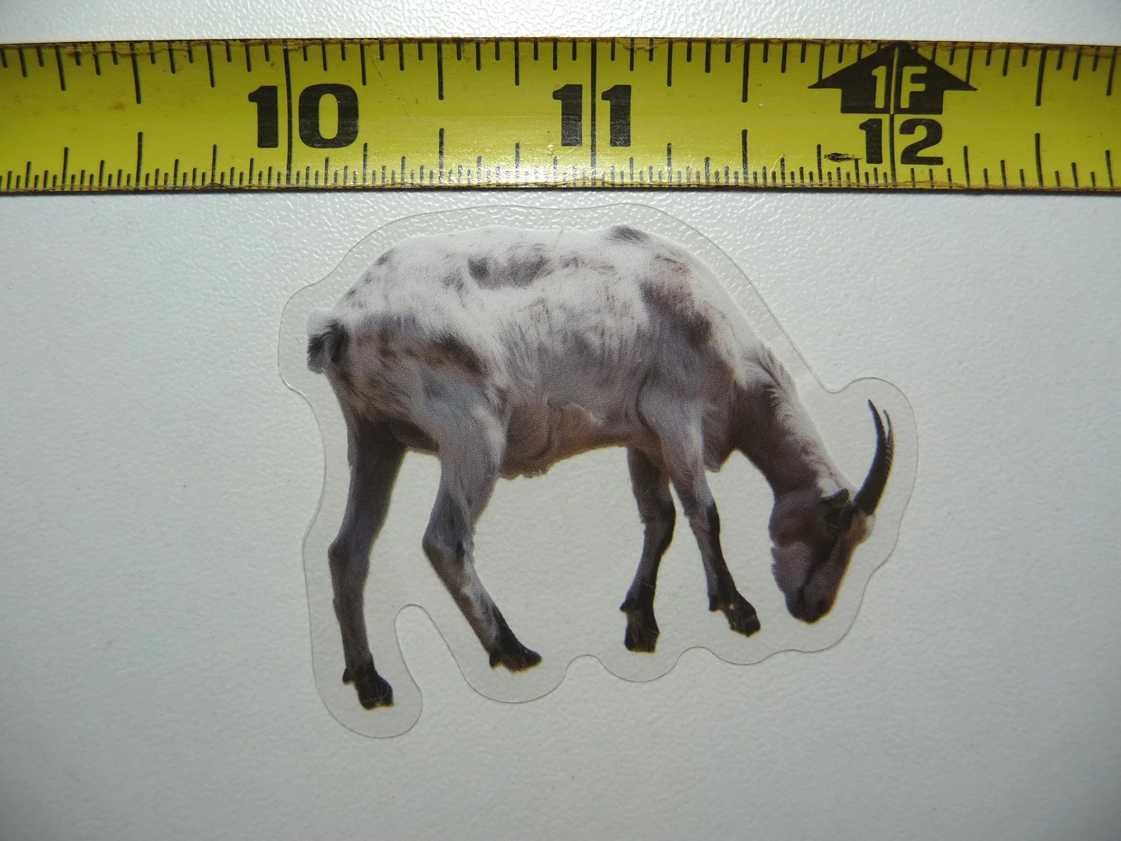 GOAT PET EATING SMALL STICKER DECAL WILDLIFE COLORFUL ZOO FUNNY