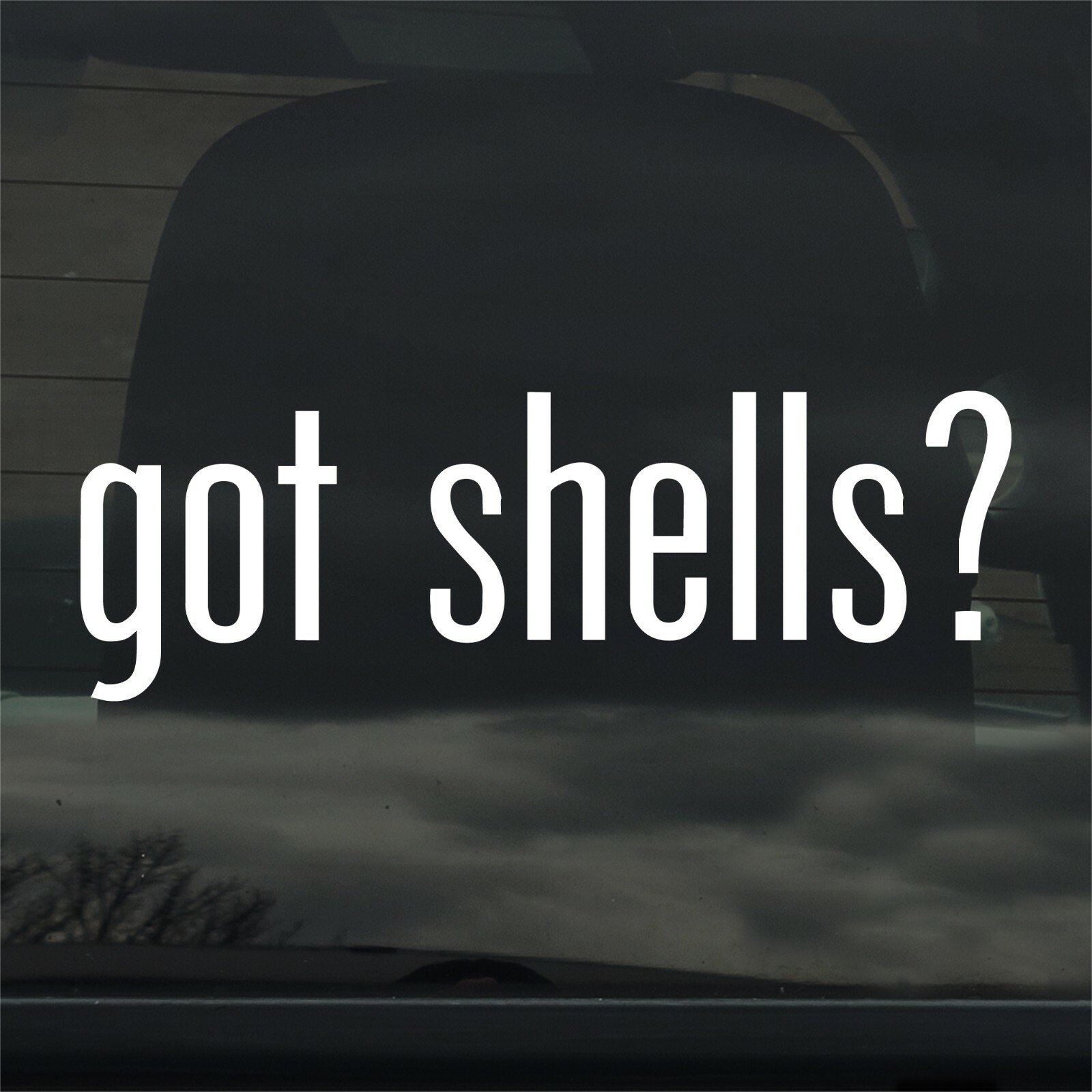 Got Shells? Custom Vinyl Sticker / Decal Sea Shell, Beach, Ocean, Clam