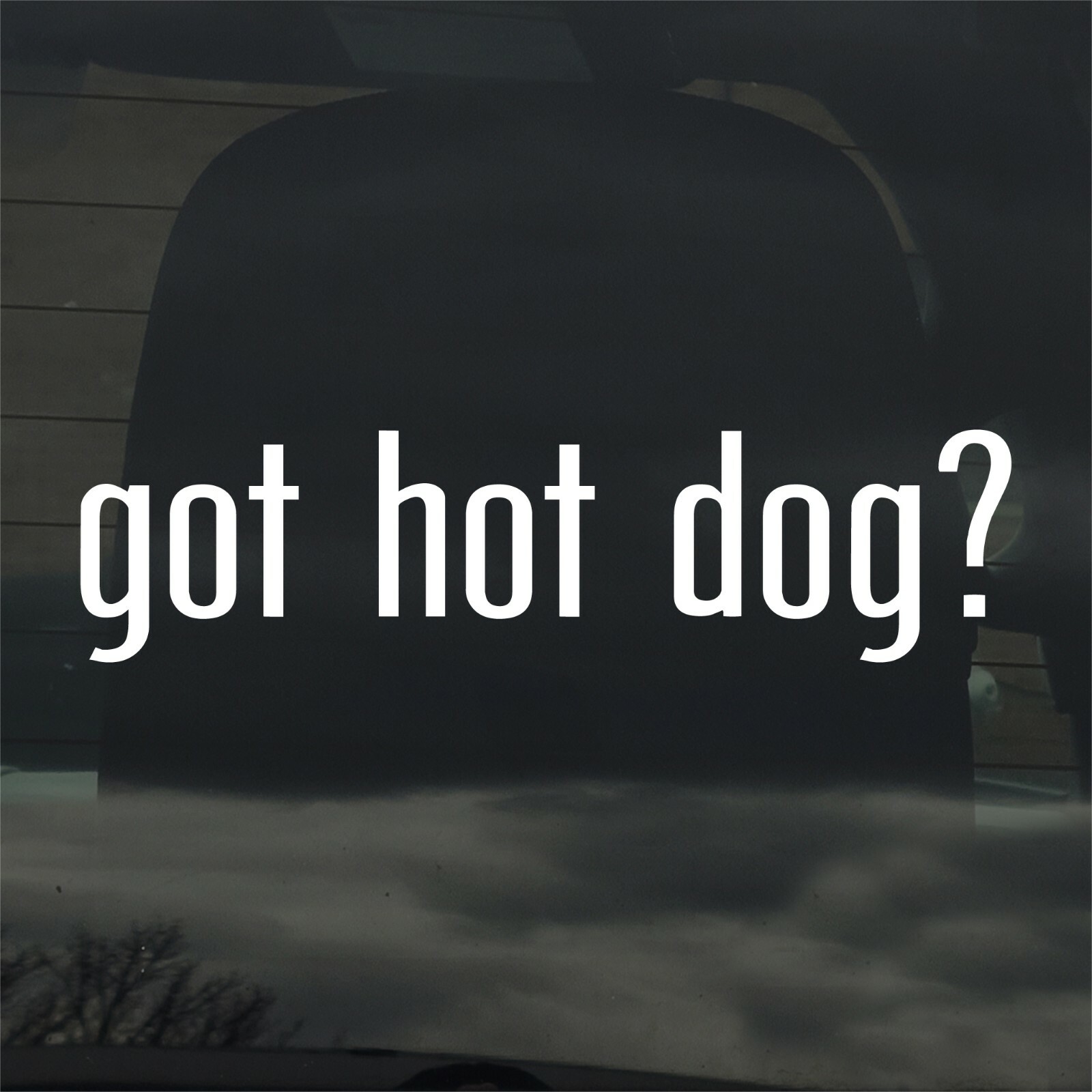 Got Hot Dog? Custom Vinyl Sticker / Decal Coney, Chili Dog, Grill, Food, Cooking