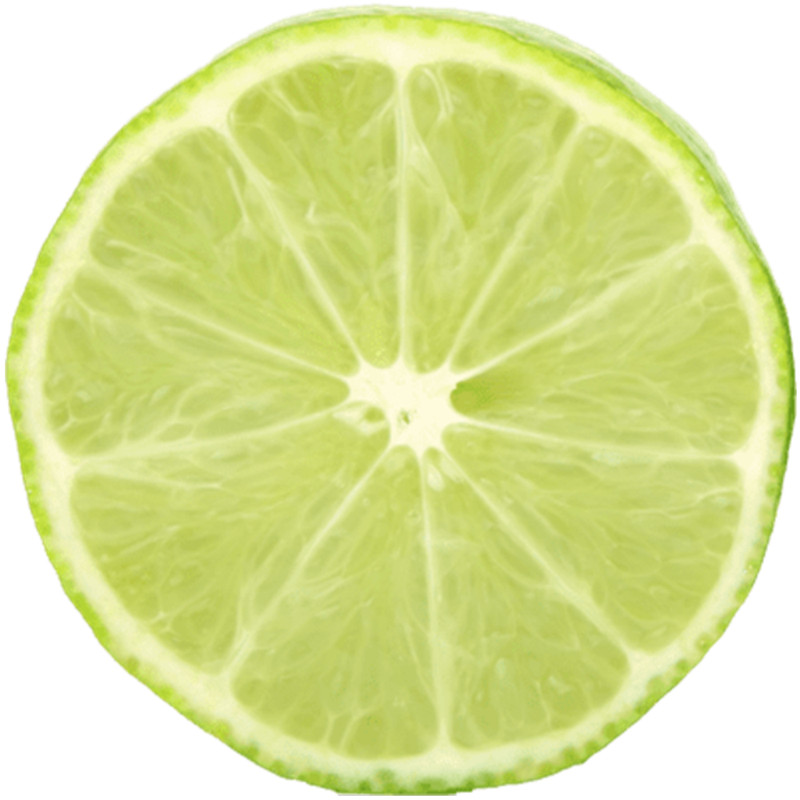 Lime Fruit Slice – 3 Inch Circle Sticker 3" x 3" – Citrus Delicious
