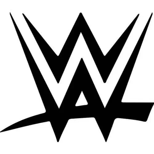WWE Wrestling Decal Sticker Laptop Wall Mirror Cup Tumblr Locker Bin