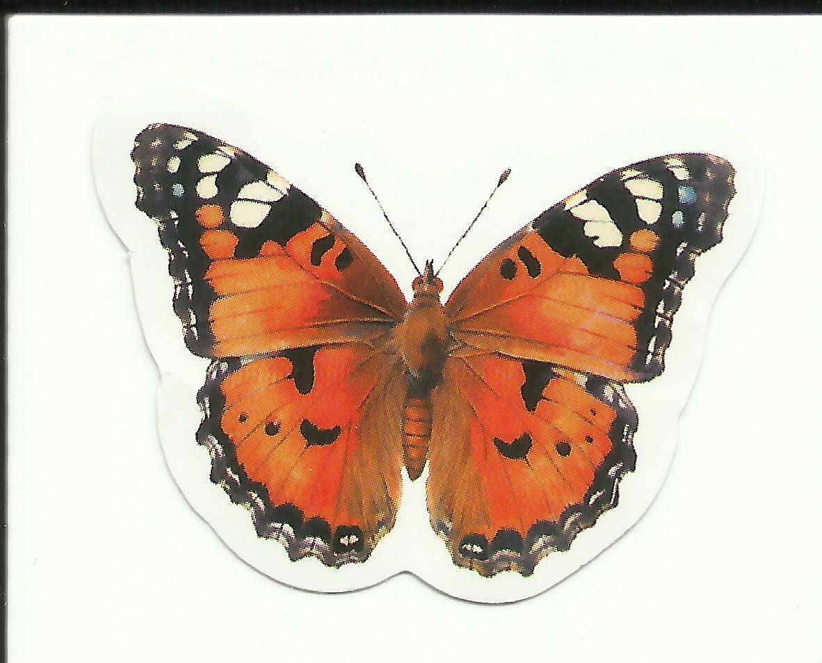 BUTTERFLY sticker 1.6" x 1.3" Orange & Black