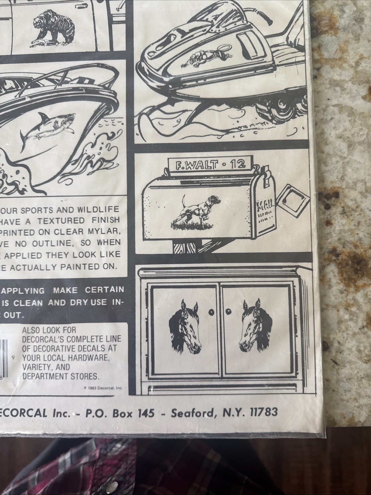 NOS 1986 Hand Painted Eagle Decals Stickers Sports & Wildlife Decorcal USA Made