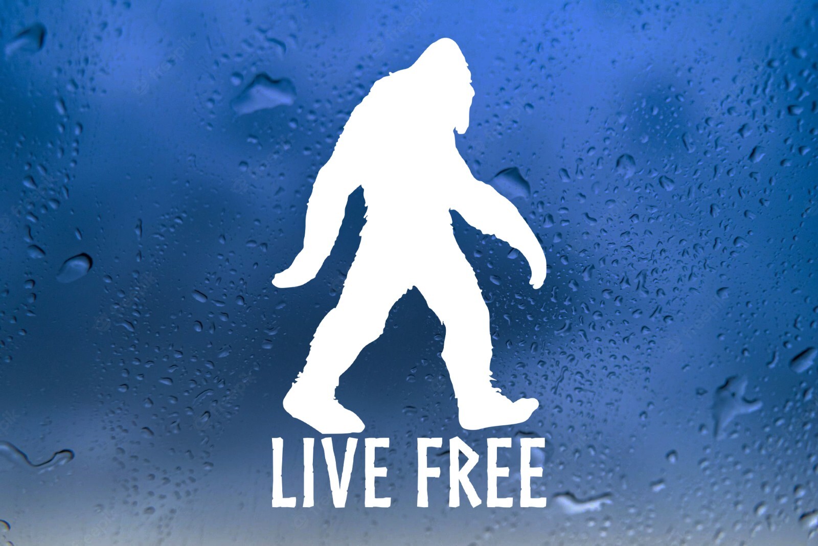 Bigfoot Live Free Vinyl Decal V1 – Cryptid Sasquatch PNW – Die Cut Sticker