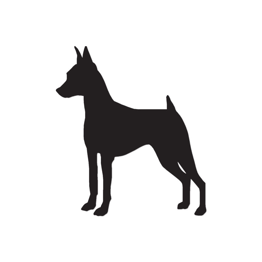 Miniature Pinscher Dog – Decal Sticker – Multiple Color & Sizes – ebn1980