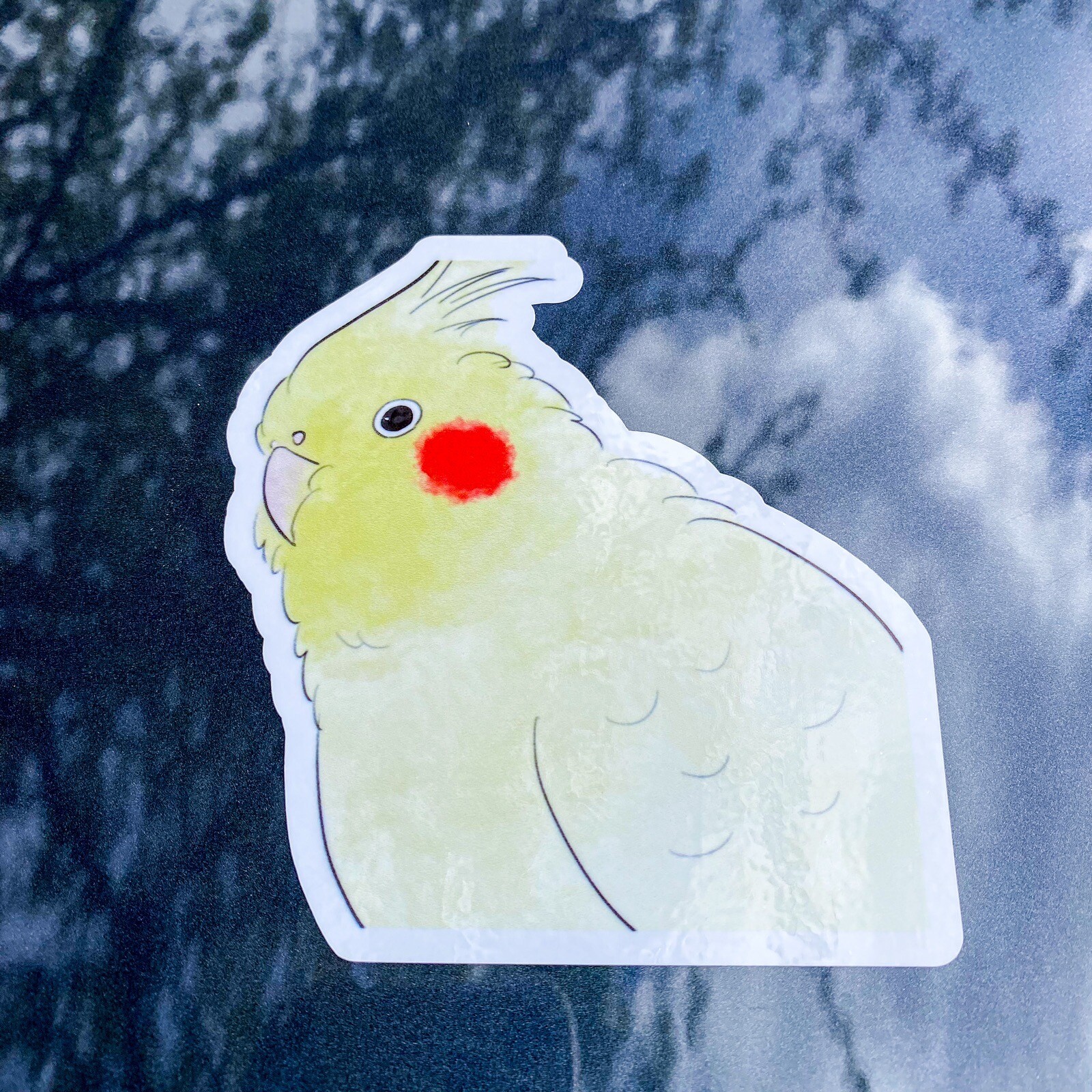Lutino Cockatiel CAR Sticker Outdoor use / UV & Water Proof Parrot Sticker