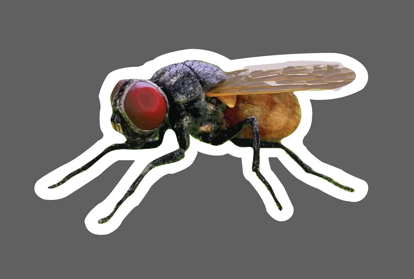 Fly Sticker Realistic Insect Waterproof – Buy Any 4 For $1.75 Each Storewide!
