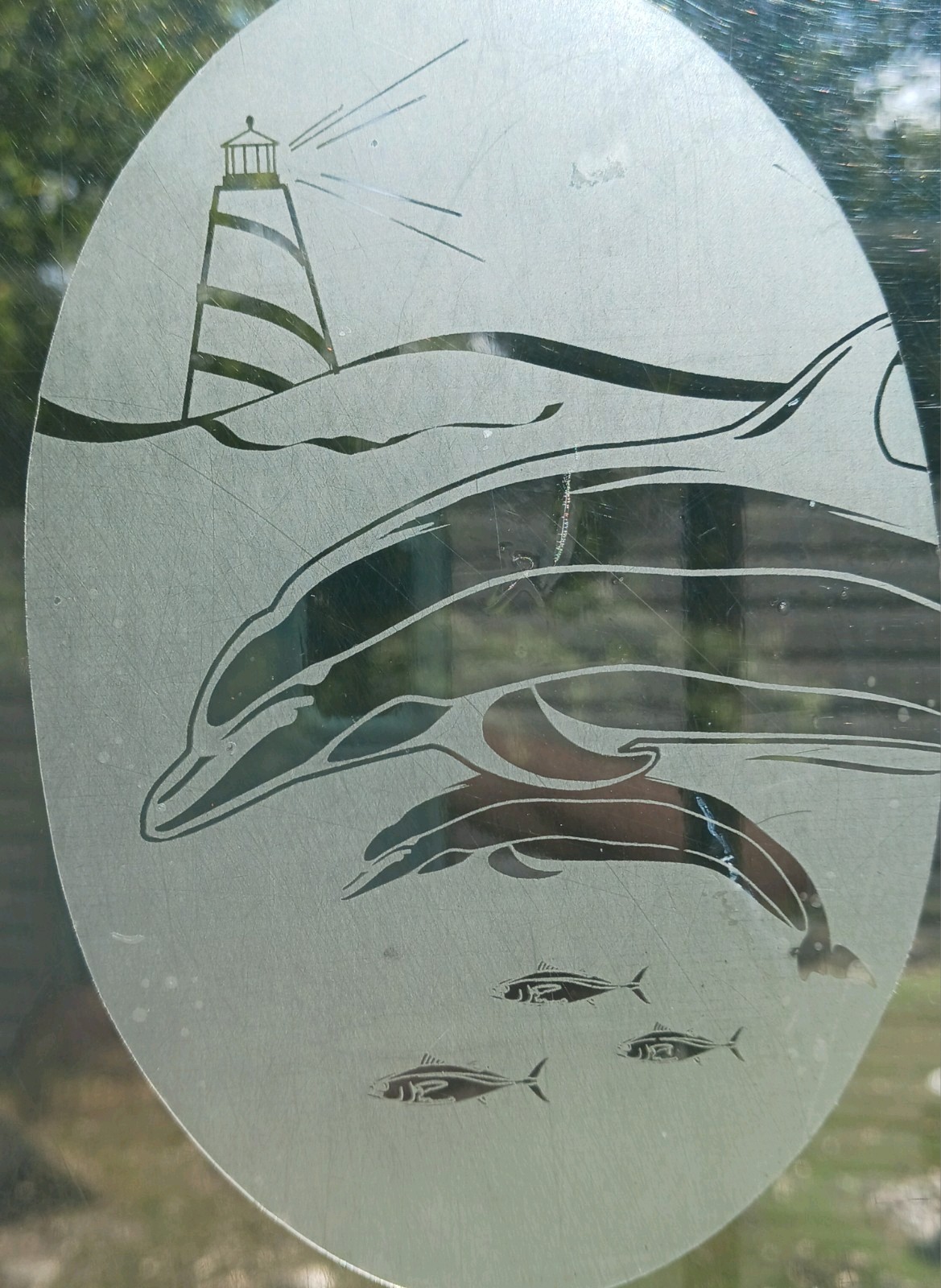 Dolphin Window Decal 20"x30" OVAL Etched Glass Look Cling Removable & Reusable 2