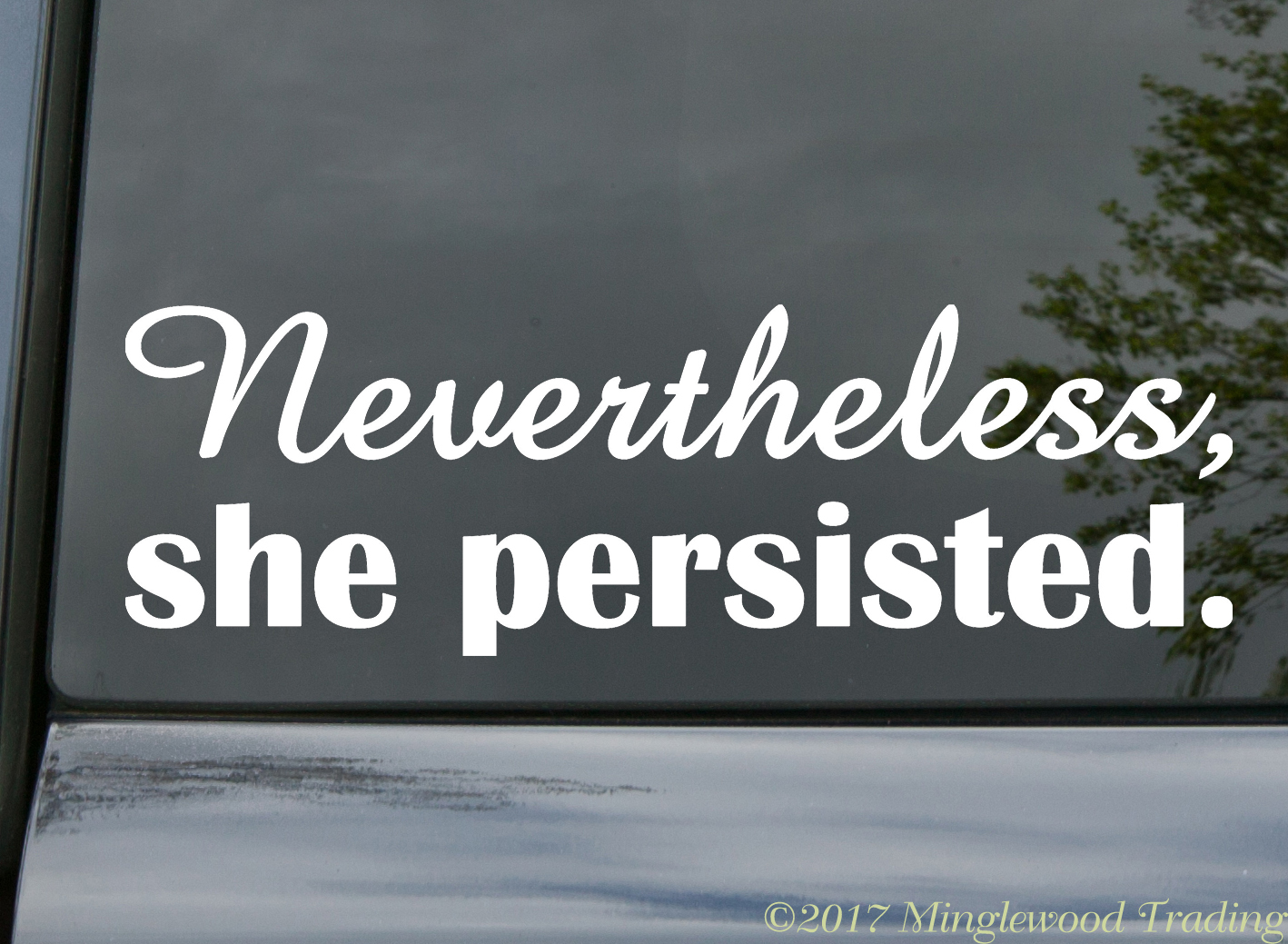 NEVERTHELESS SHE PERSISTED Vinyl Sticker – Elizabeth Warren Resist Die Cut Decal
