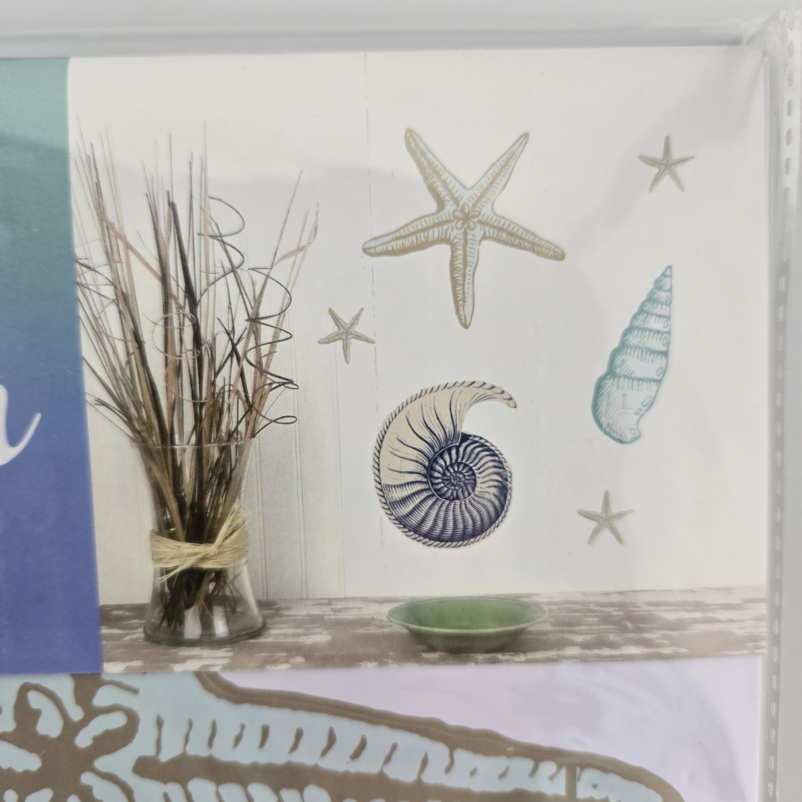 Wall Decor 6-piece Peel-off Sheets Sea Shells Beach Themed NEW SEALED