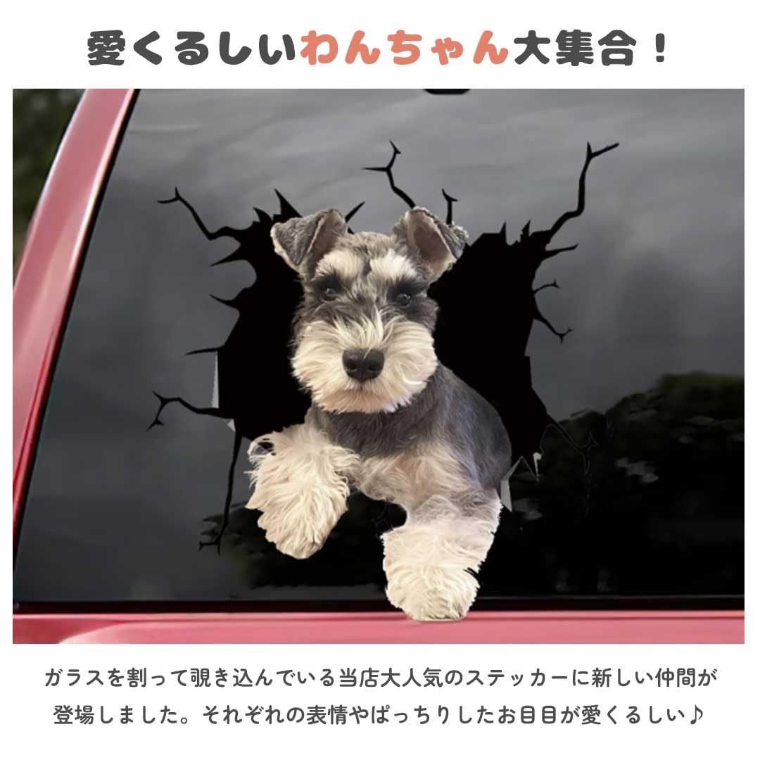 3D Pop Up Dog Car Sticker Pomeranian Design