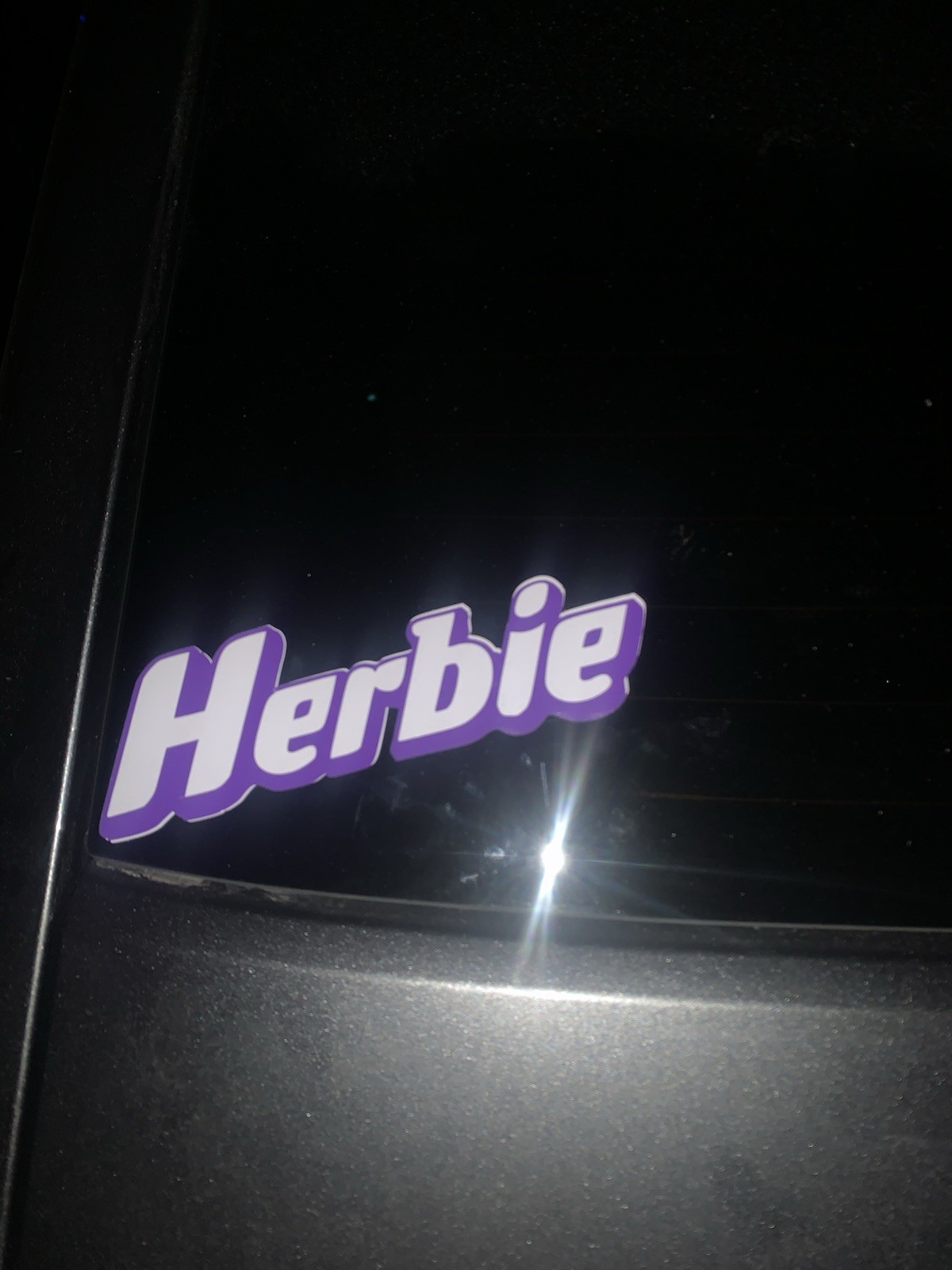 Custom Vinyl Sticker Decal Personalized -ANY TEXT-ANY IMAGE 12”x12”