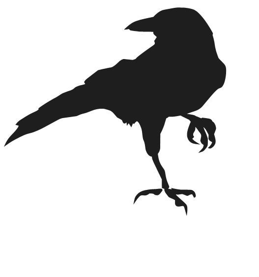 CROW RAVEN BLACKBIRD VINYL DECAL STICKER BIRD LAPTOP WINDOW CHOOSE COLOR
