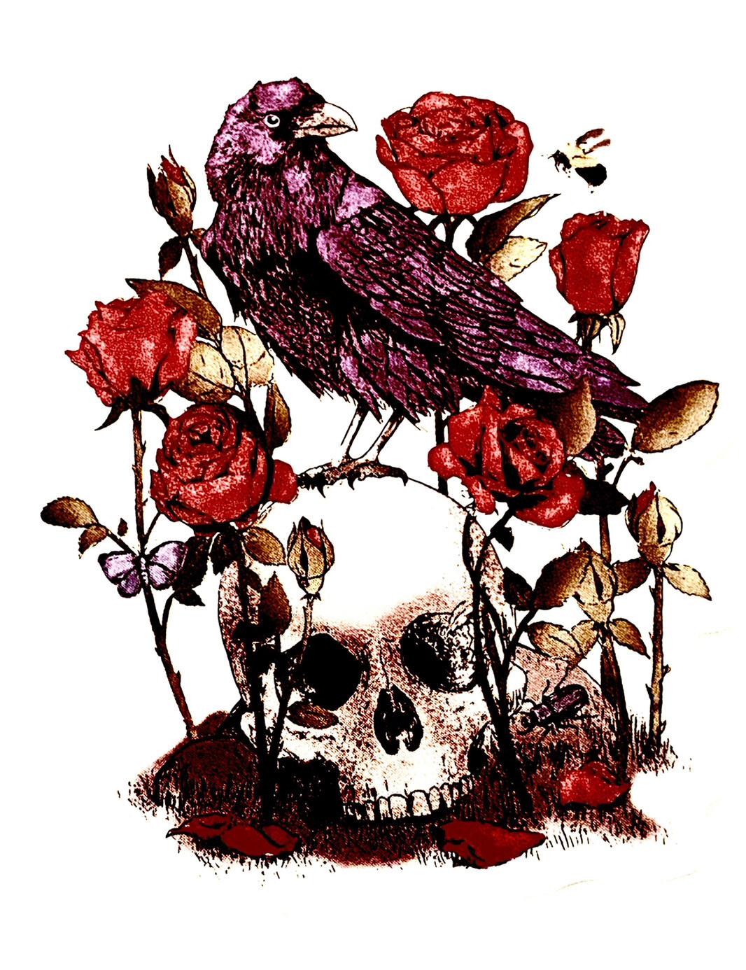 Skull Raven 2" Sticker Nevermore Edgar Allen Poe Dark Art Fiction Fantasy Black
