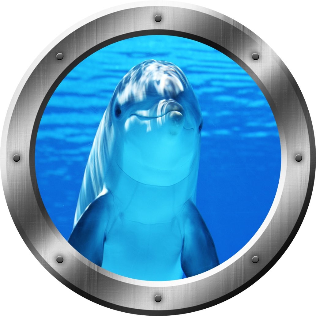Porthole Window Dolphin Porpoise Wall Decal, 3D Ocean Porthole Wall Sticker, …