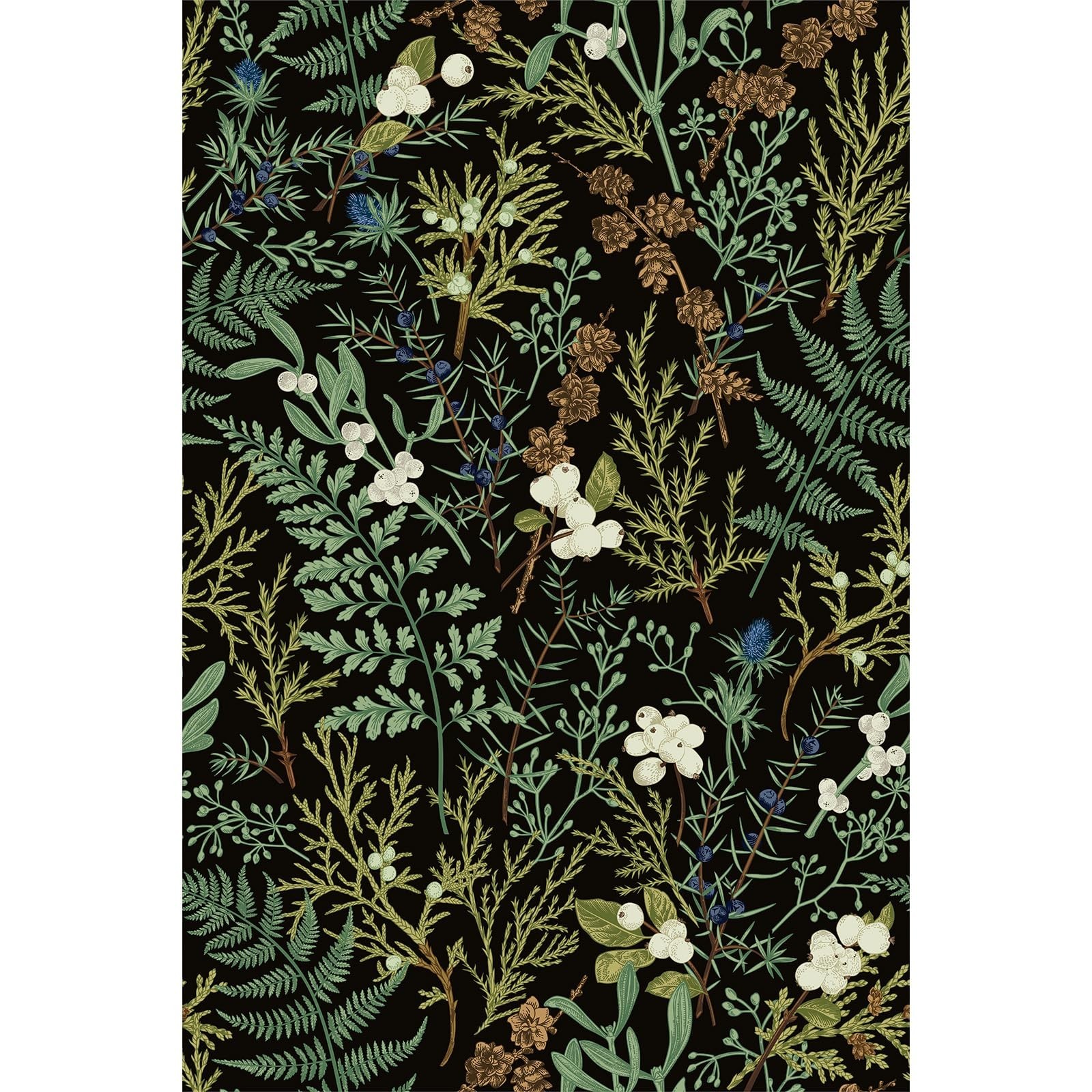 Amiya Black Fern Contact Paper Botanical Forest Wallpaper Peel and Stick Vint…