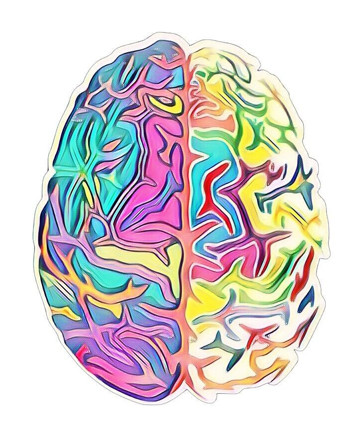 Brain Sticker Decal