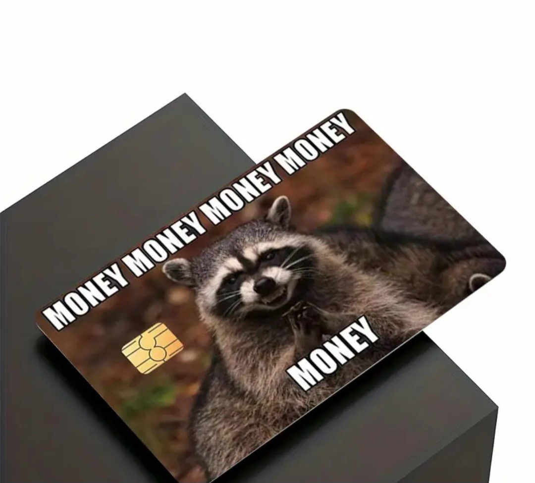 Money Money Money Humorous Raccoon Credit Debit Card Sticker Free Shipping