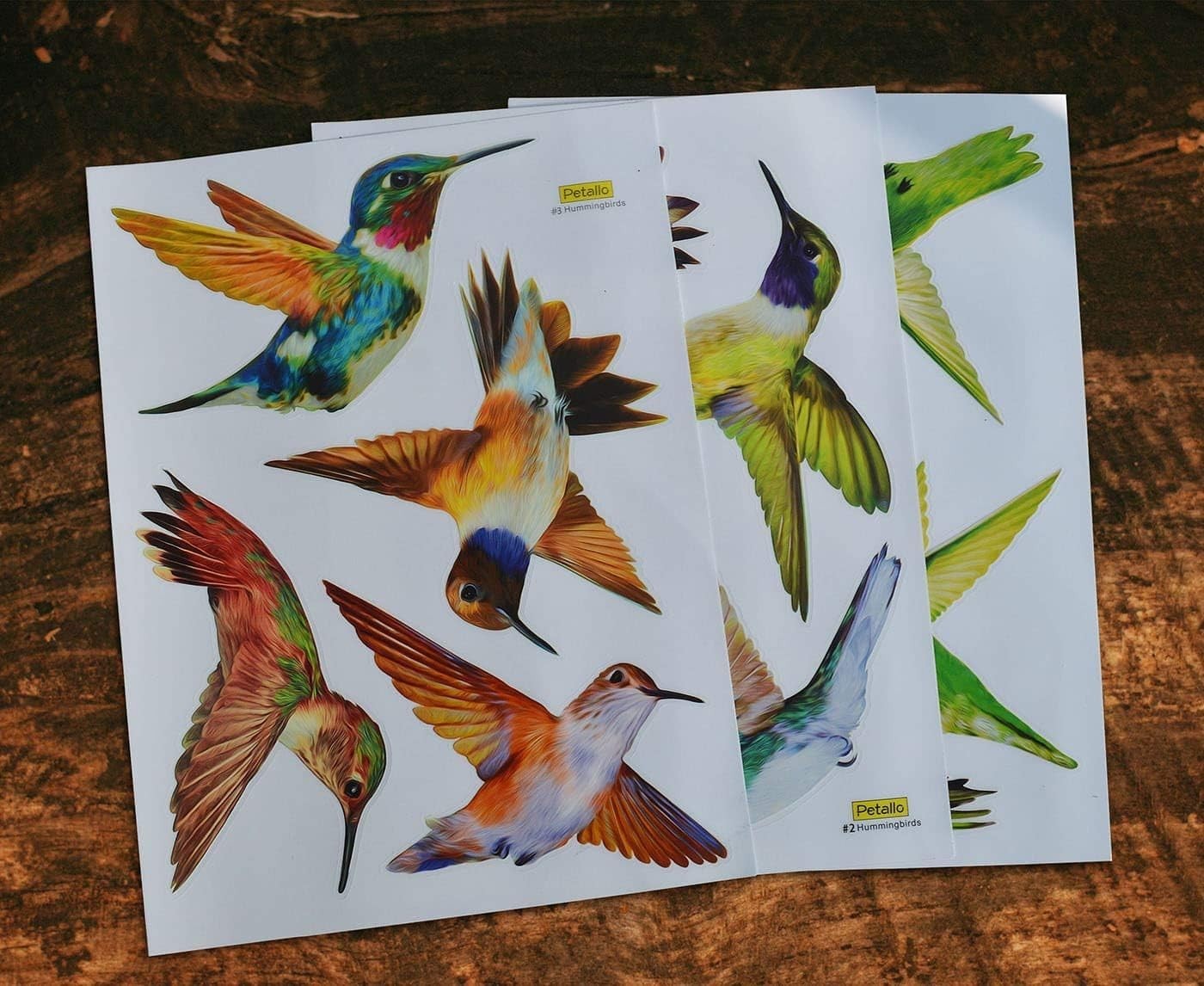 Gorgeous Hummingbird Window Clings – 12 Pack UV Resistant and Easy to Apply