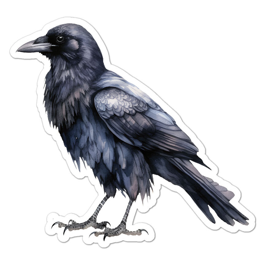 Raven Crow , Vinyl Decal Sticker, Indoor Outdoor, 3 Sizes, #9862