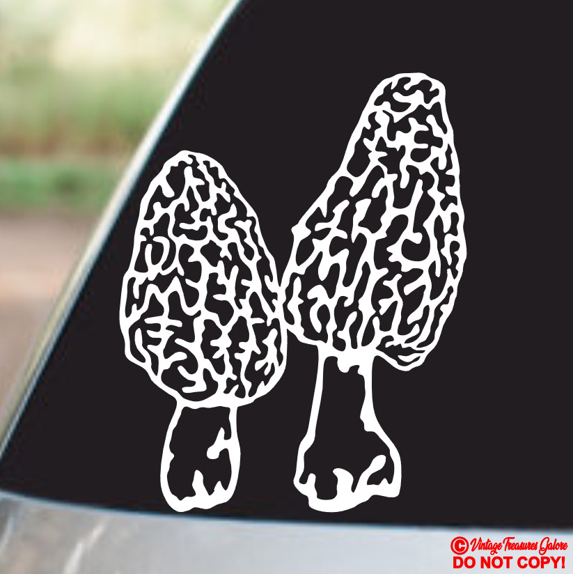 MORCHELLA TRUE MOREL MUSHROOMS Vinyl Decal Sticker Car Truck Window Wall Bumper