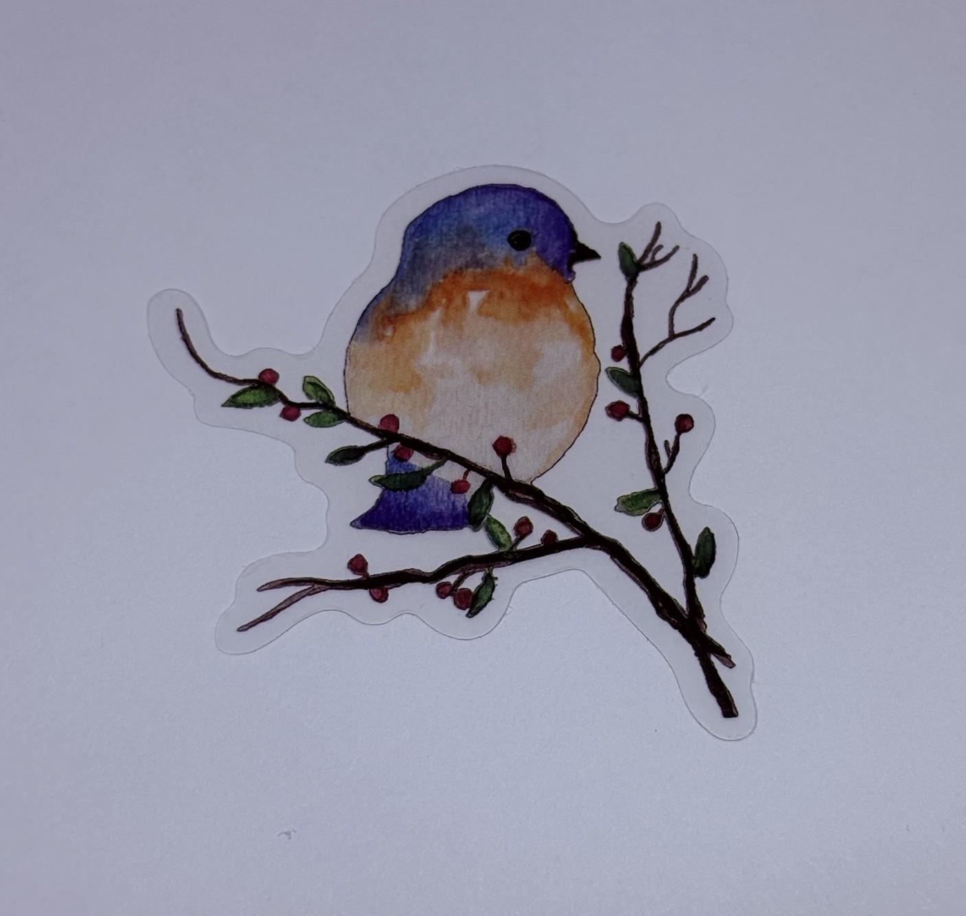 Cute Bluebird On Branch Sticker Animal Art Transparent Journal Decal VinylTc6