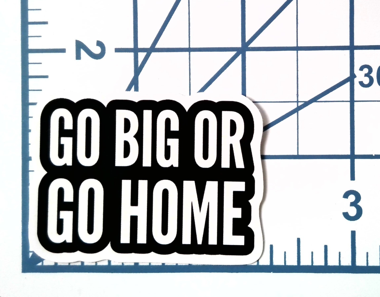 Go Big Or Go Home Vinyl Sticker Motivational Quote Decal Laptop Bottle Gym