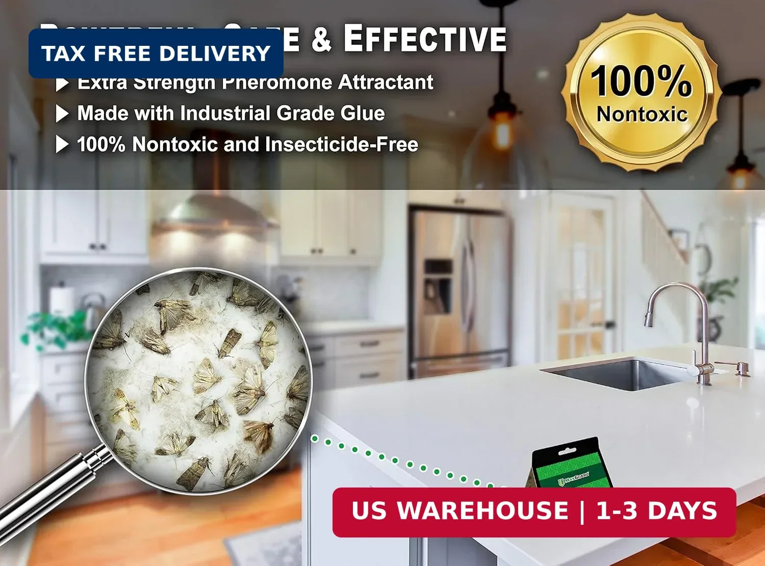 Maxguard Pantry Moth Traps (24 Pack) with Extra Strength Pheromones | Non-Toxic