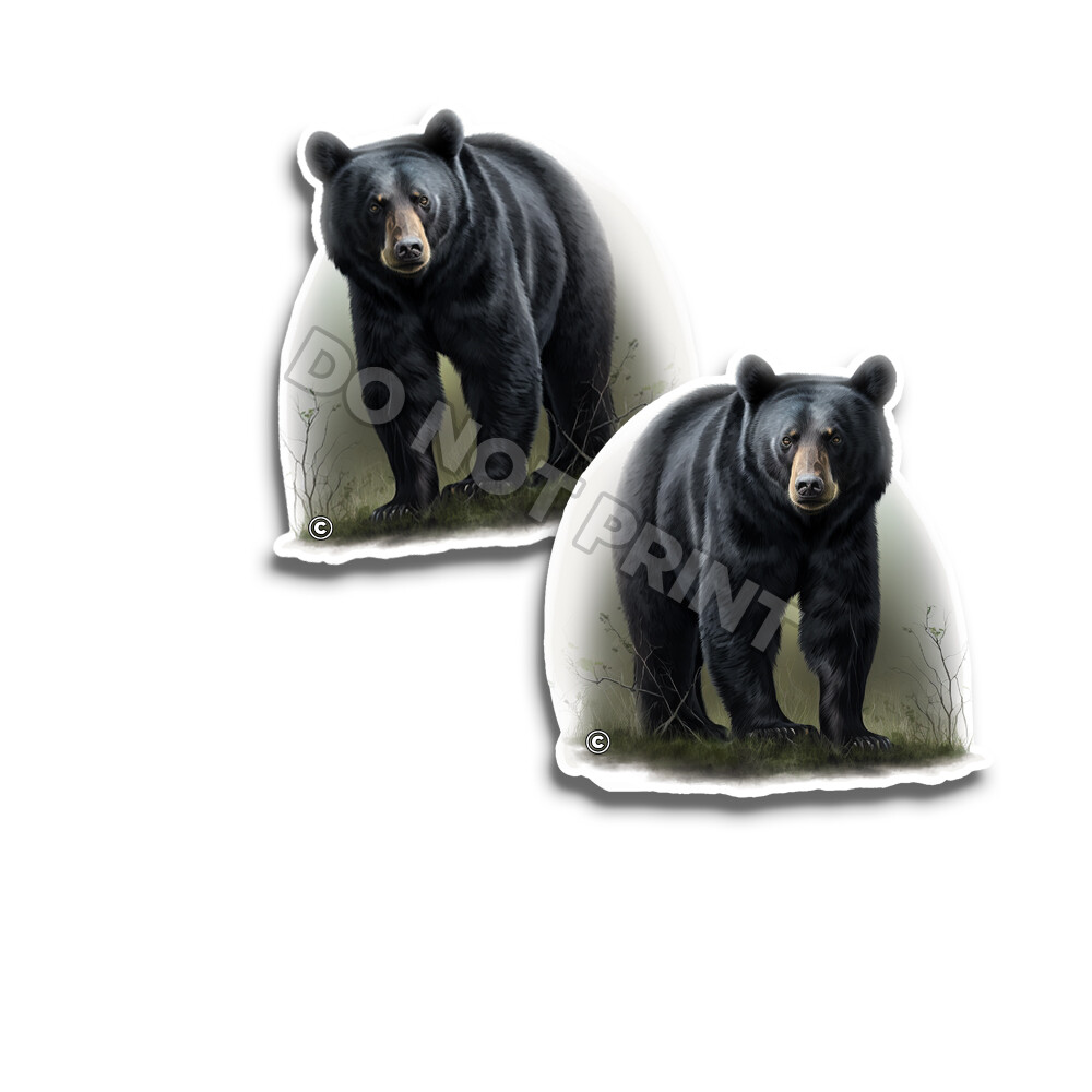 BEAR Vinyl Stickers BLACK NATURE Great Outdoors ANIMAL DECALS C35002 2 Pack