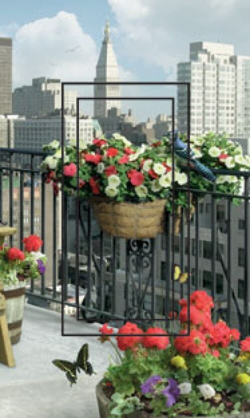 From The Balcony City View SwitchStix Single Rocker