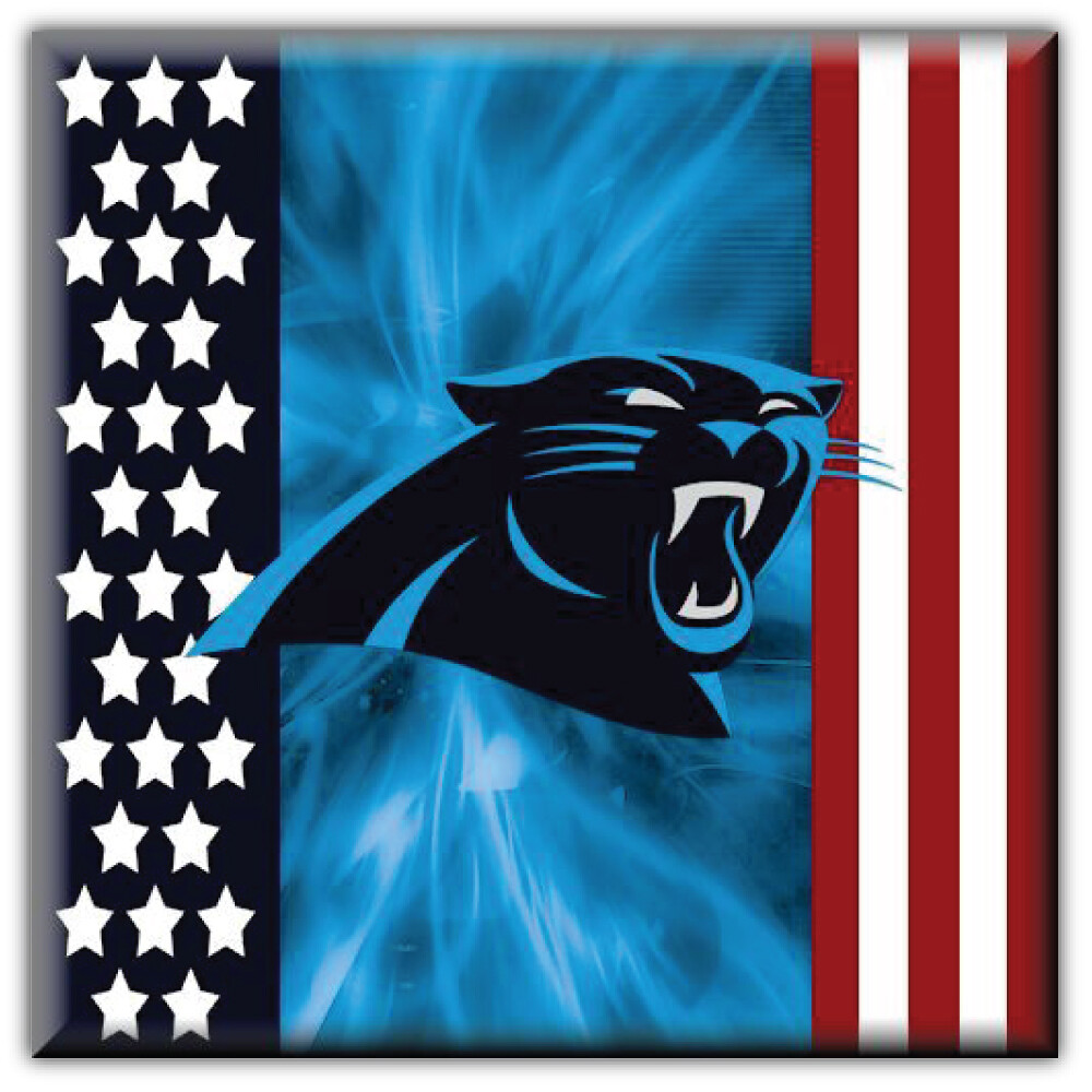Carolina Panthers Football Logo NFL Sport Car Bumper Sticker Decal "SIZES"