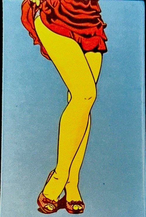 SEXY GIRL STICKER✨🌺👠🔥👠🌺✨2 1/2” X 1 1 1/2”✨GLOSSY✨MINI SKIRT✨High Heels💫