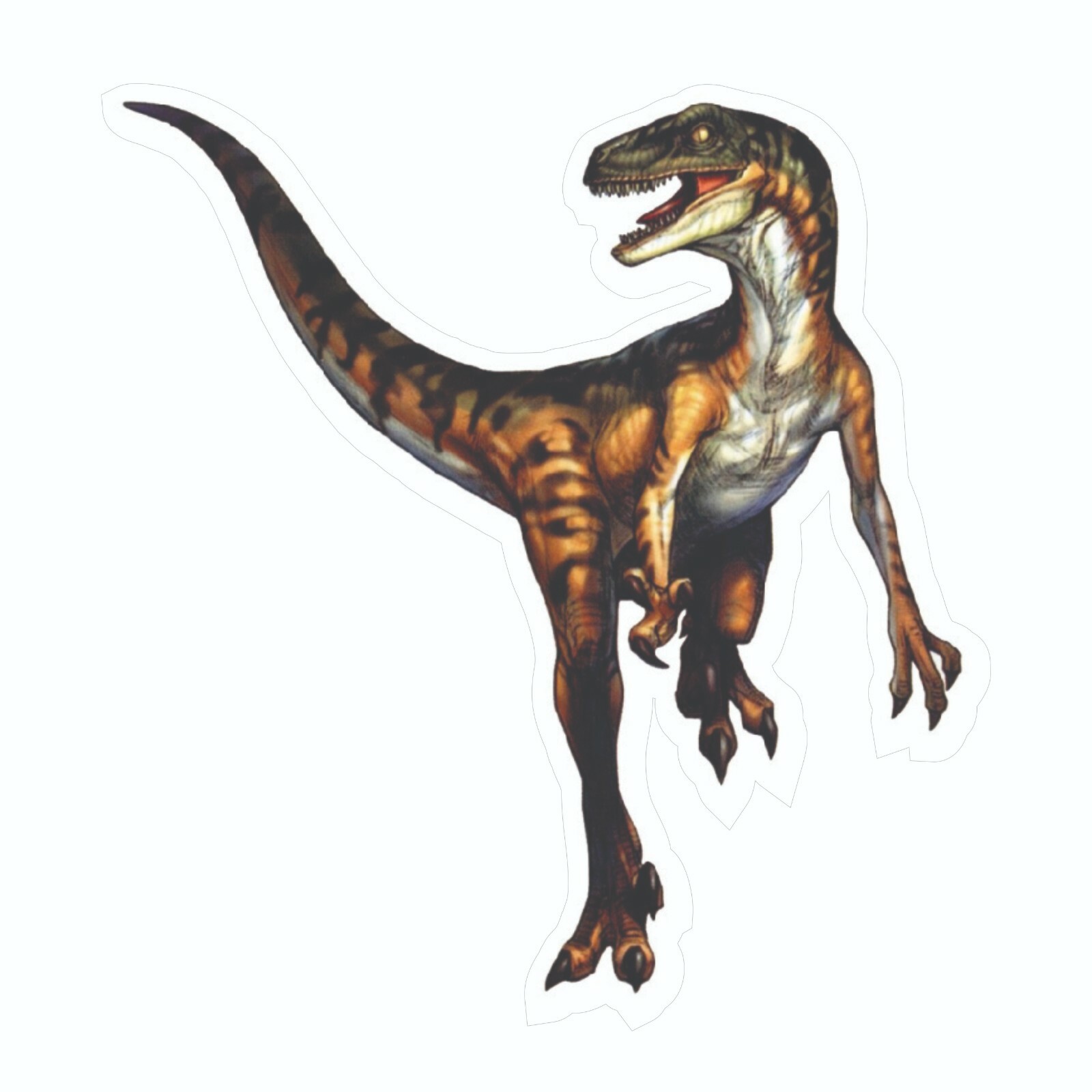 Dinosaur Sticker, Velociraptor Decal, Bumper Sticker