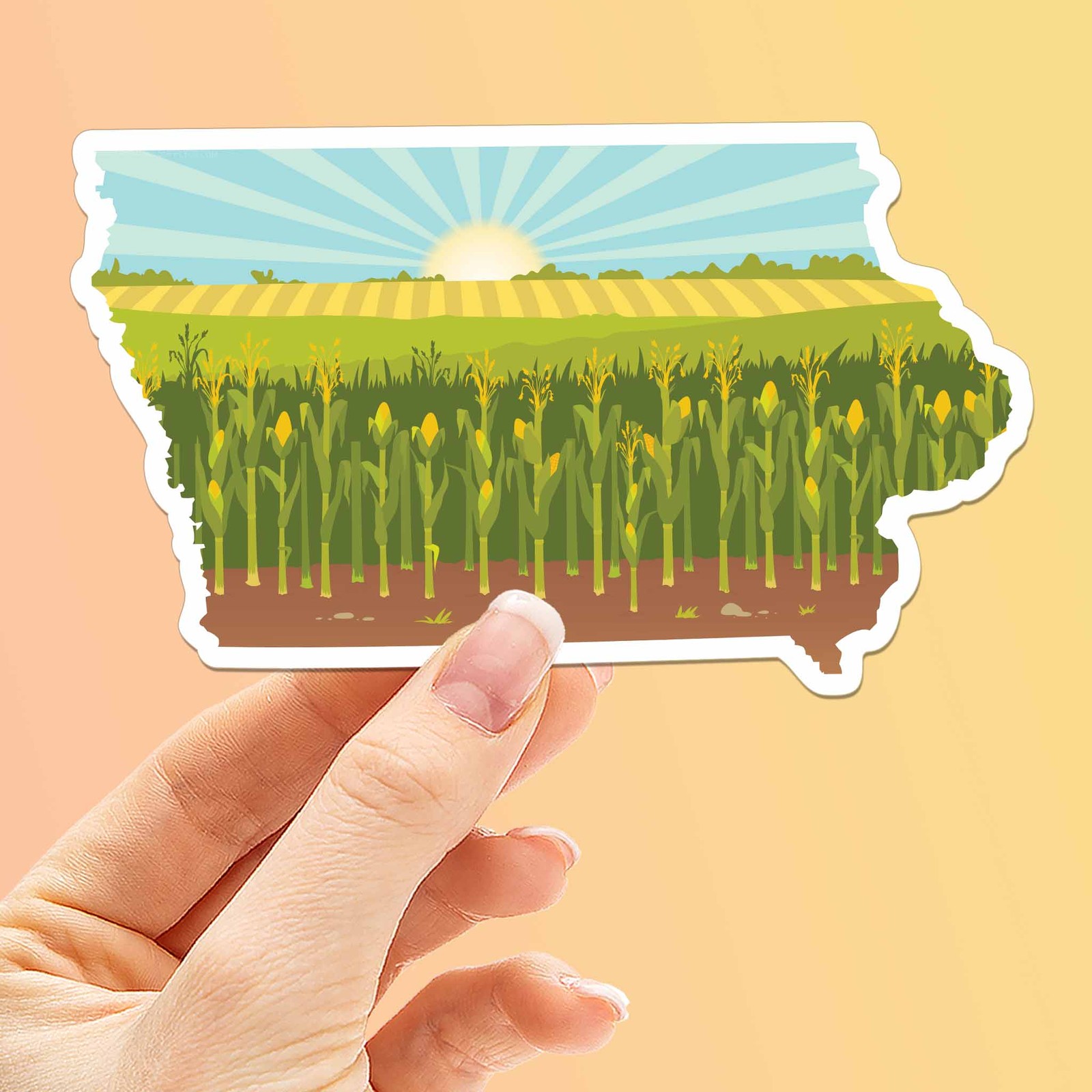 Iowa Corn Bumper Sticker – Cute Midwest Farm Decal