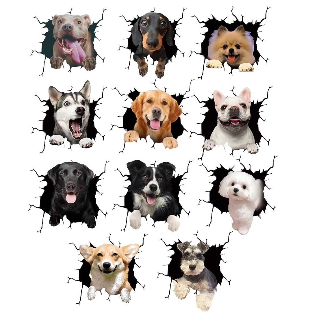 3D Pop Up Dog Car Sticker Pomeranian Design