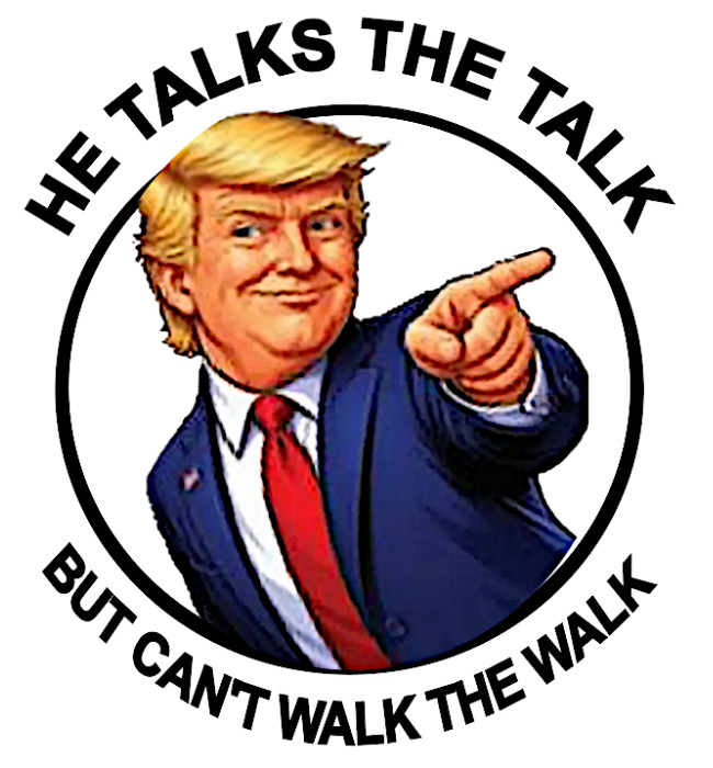 10pc Assorted Anti Trump Vinyl Stickers Kiss Cut Waterproof, approx. 1.5"Wx1.6"H