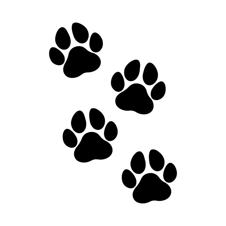 Eight Paw Prints Pet Dog Puppy Vinyl Decal Car Window Bumper Sticker
