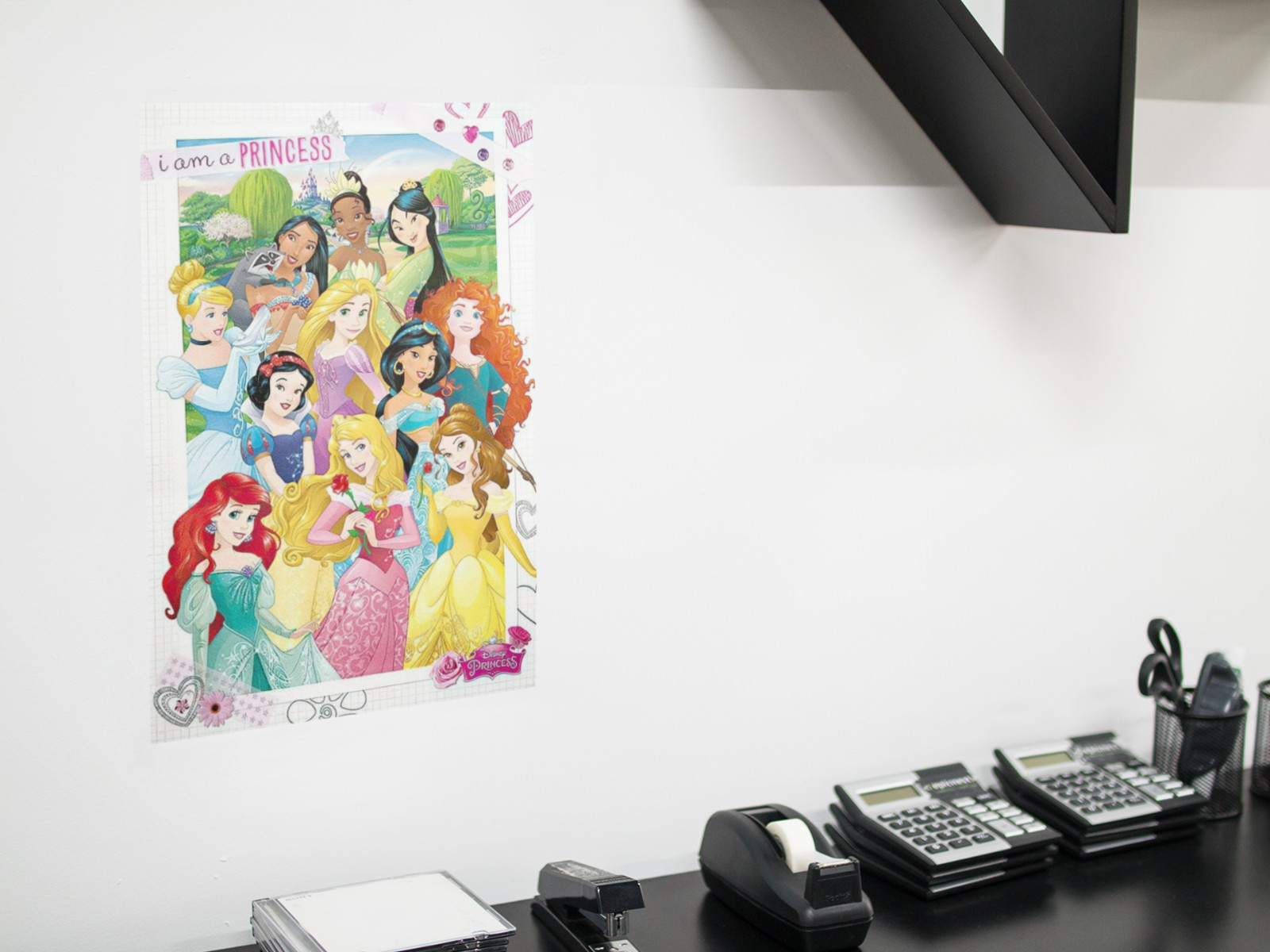 11 princesses Cartoon Graphic Wall Decal Poster Removable Adhesive Backing