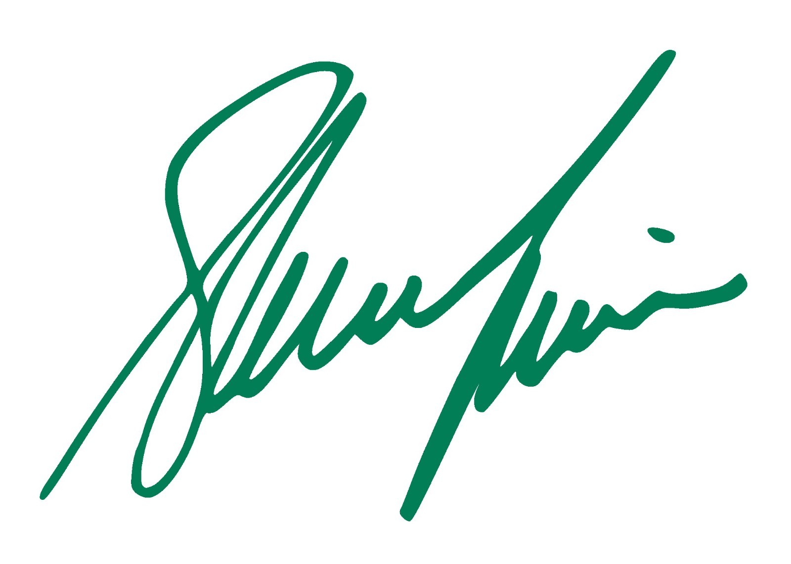Shania Twain Autograph Signature Vinyl Decal, USA seller