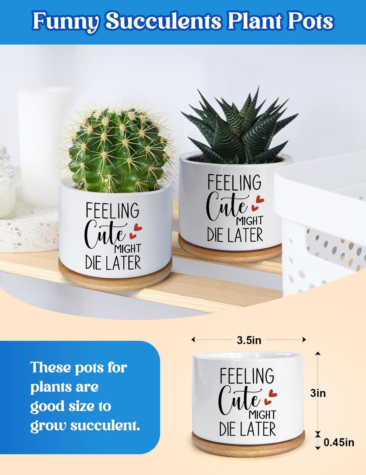 Funny Feeling Cute Might Die Later Ceramic Planter Pot for Succulent & Cactus…