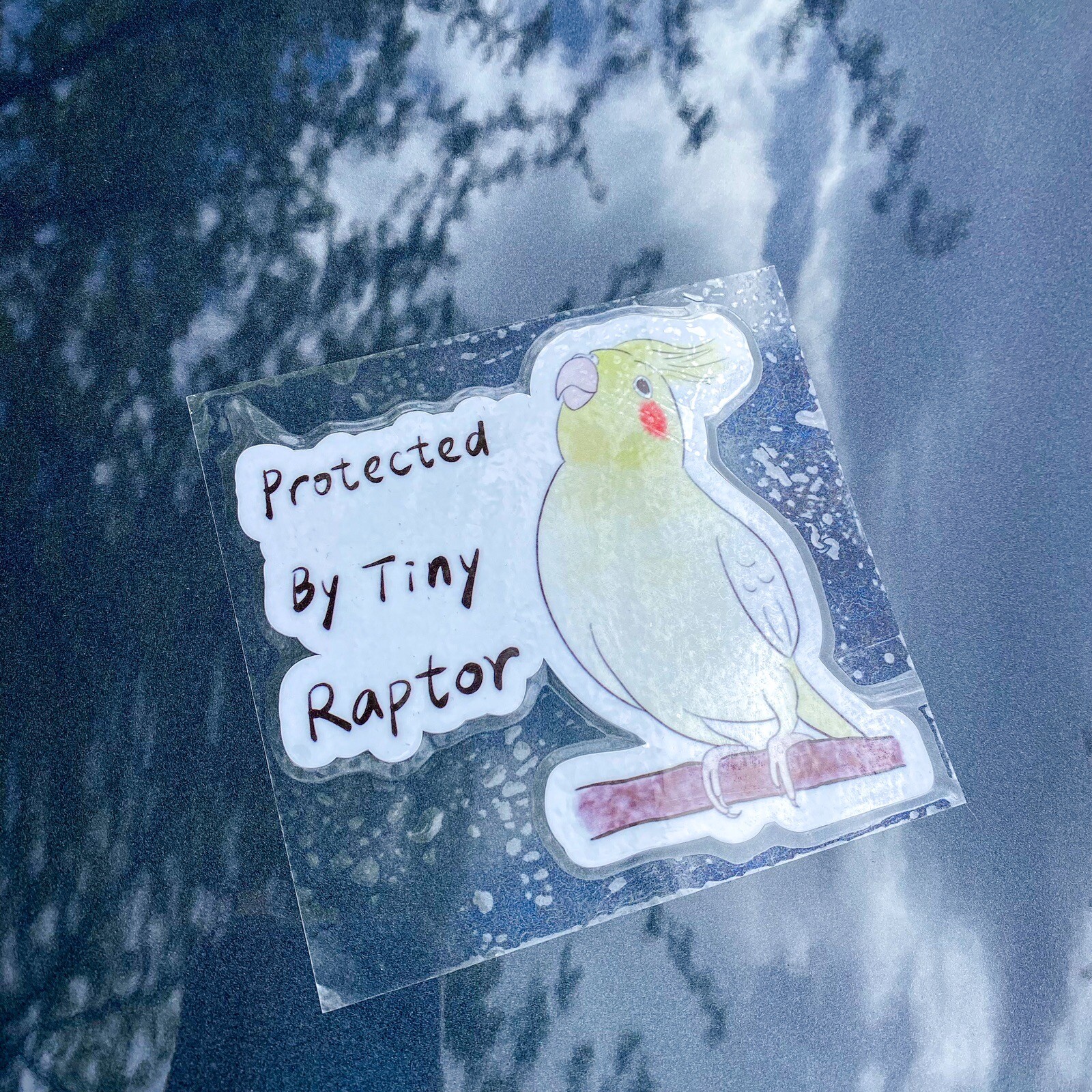 Lutino Cockatiel CAR Sticker Outdoor use / UV & Water Proof Parrot Sticker