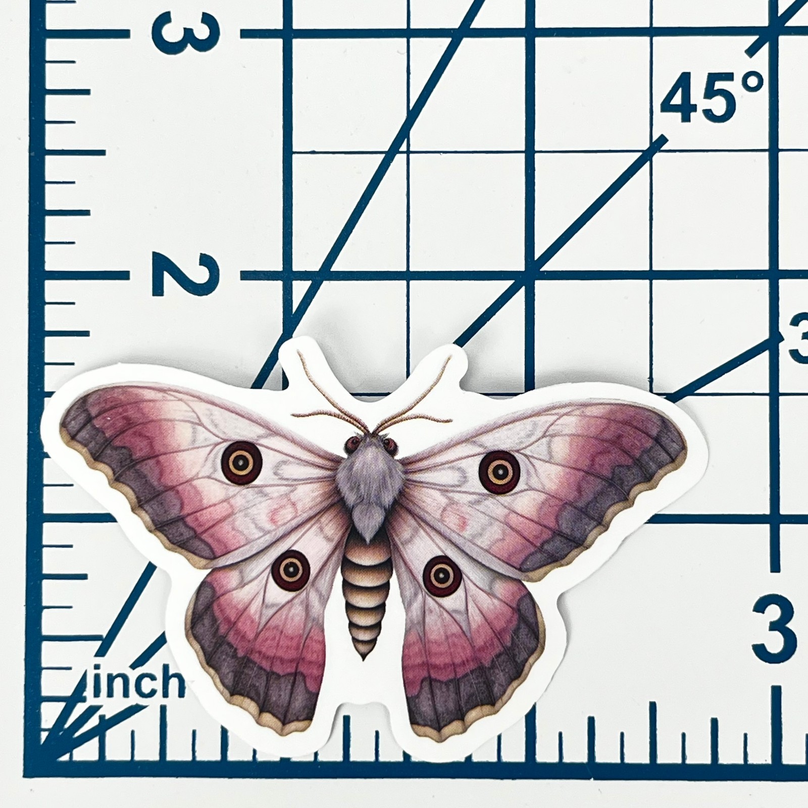 Pink Emperor Moth Vinyl Sticker Butterfly Insect Journal Laptop Scrapbook Art