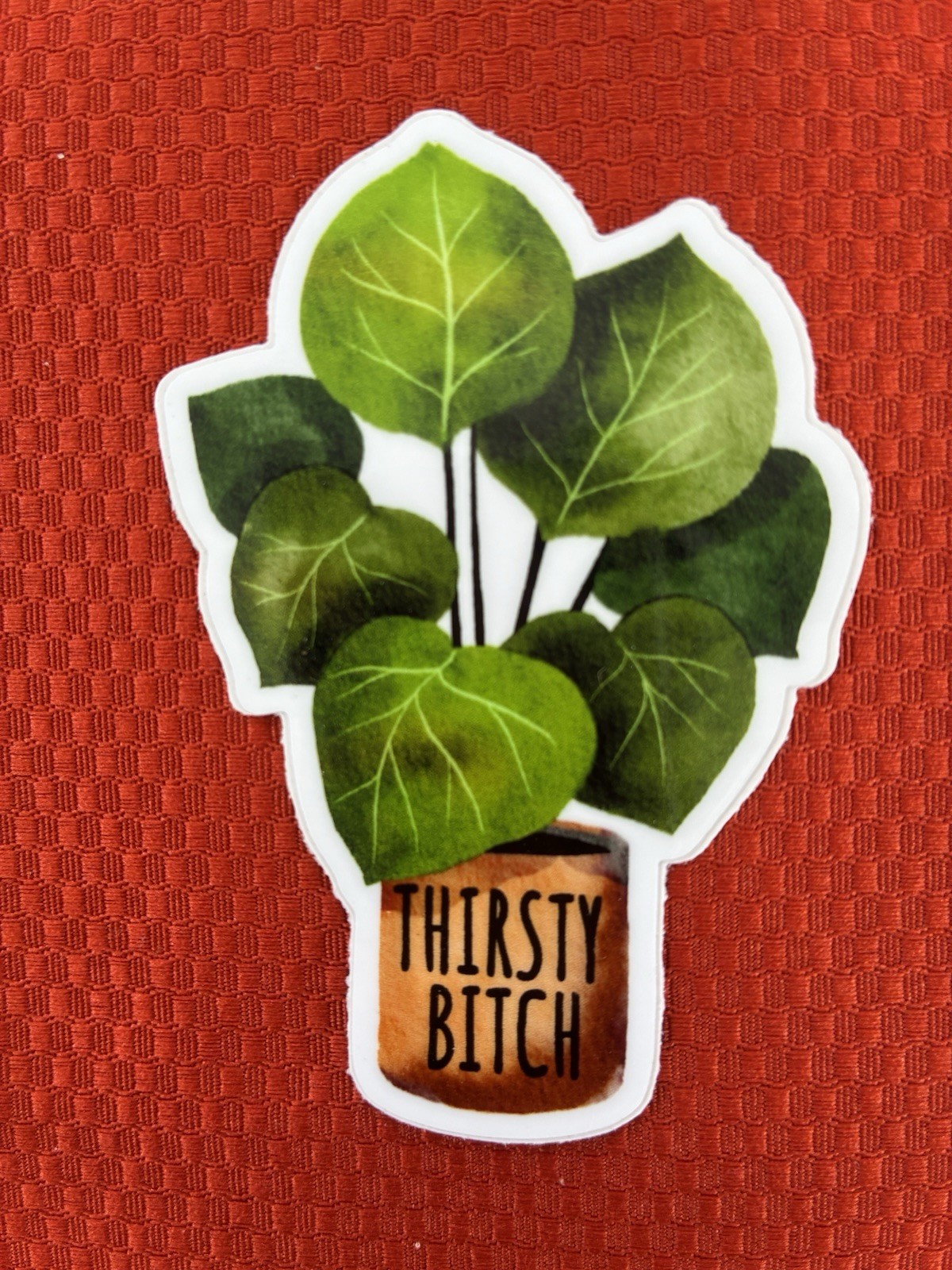 Plant Sassy Stickers Plant Lover 2×2.5in