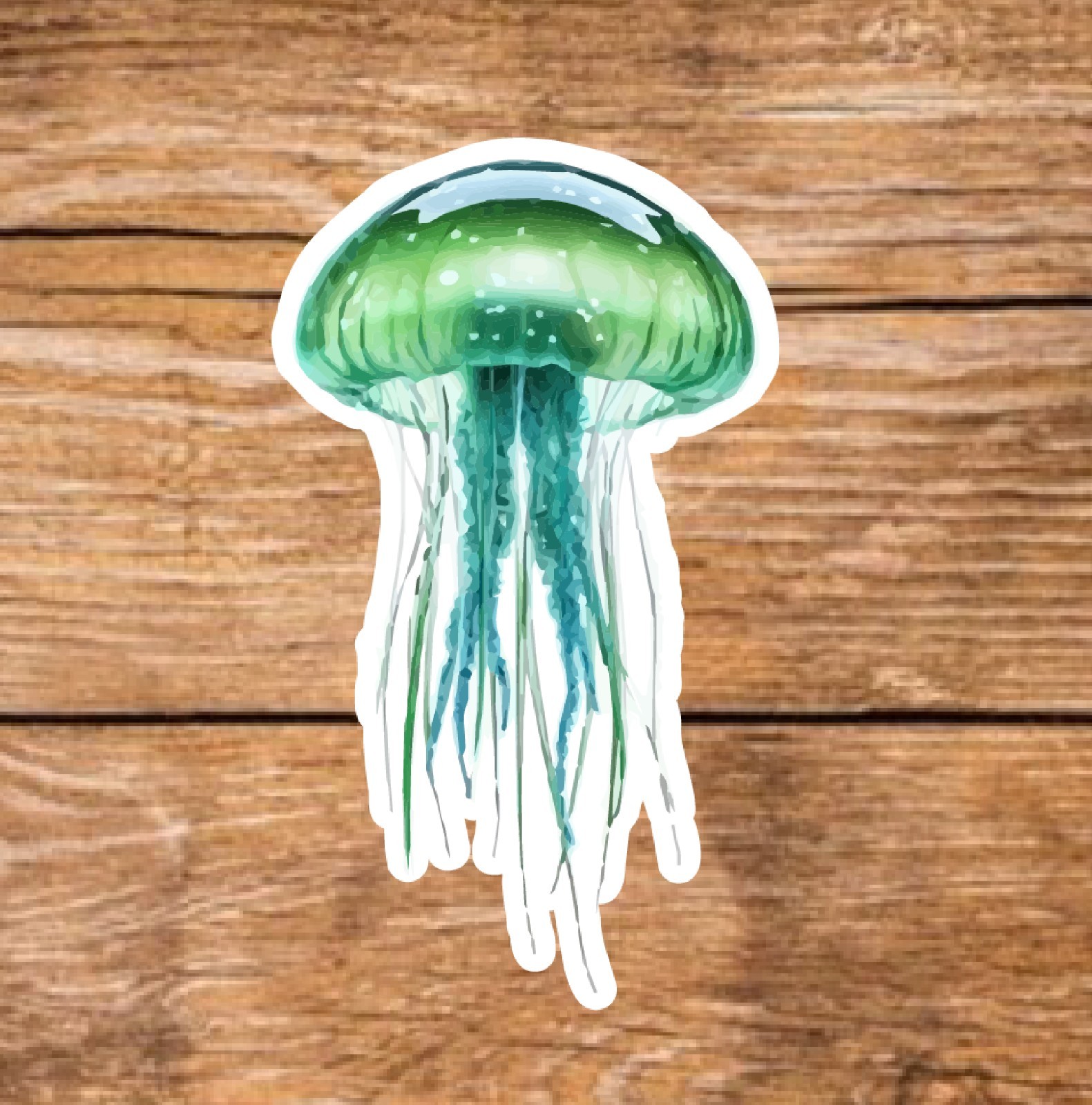 Salt Life (7 Sticker Set) 3in, Waterproof, Glossy Finish Vinyl.