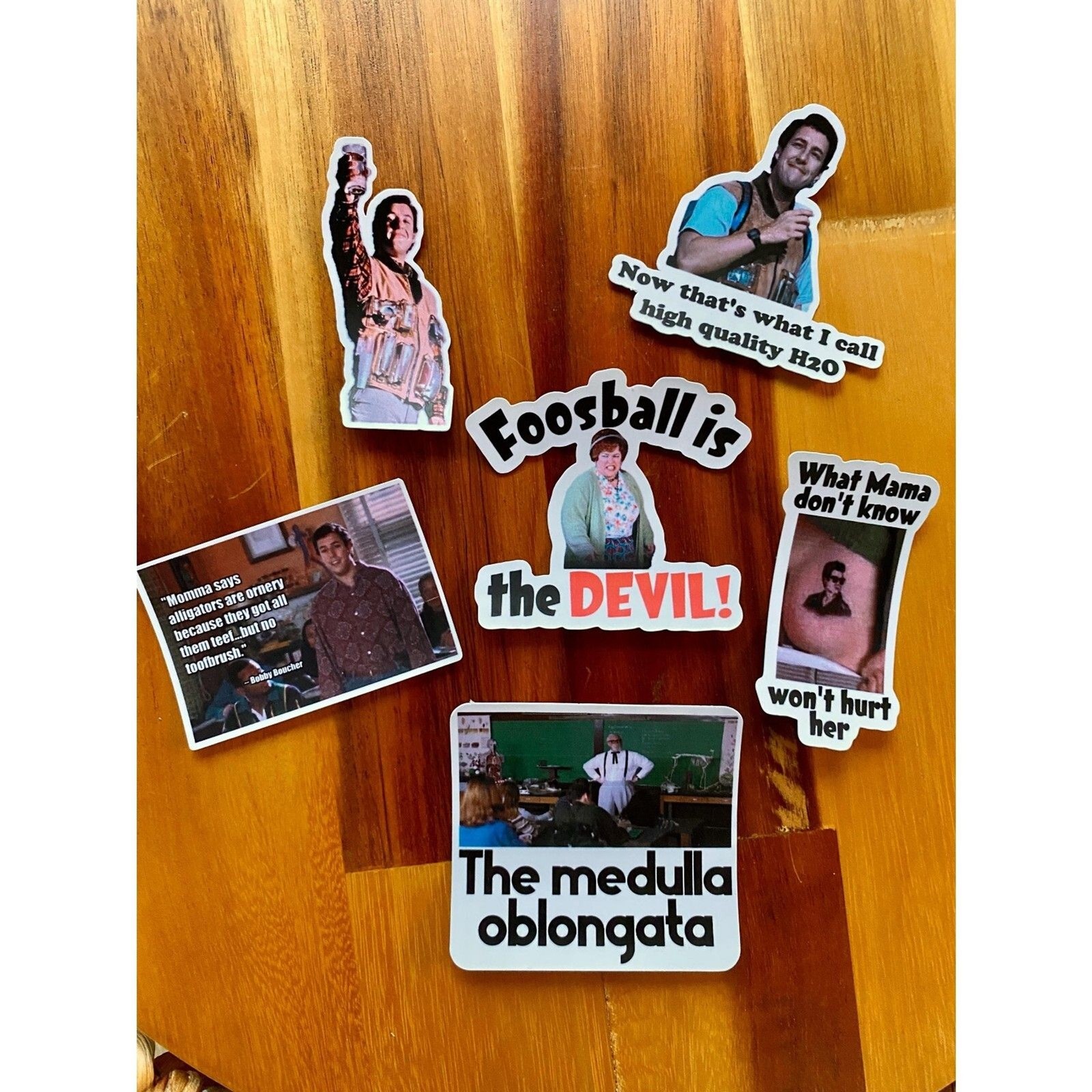 High Quality H2O Waterboy VINYL STICKER Bobby Boucher Movie Inspired Set of 6
