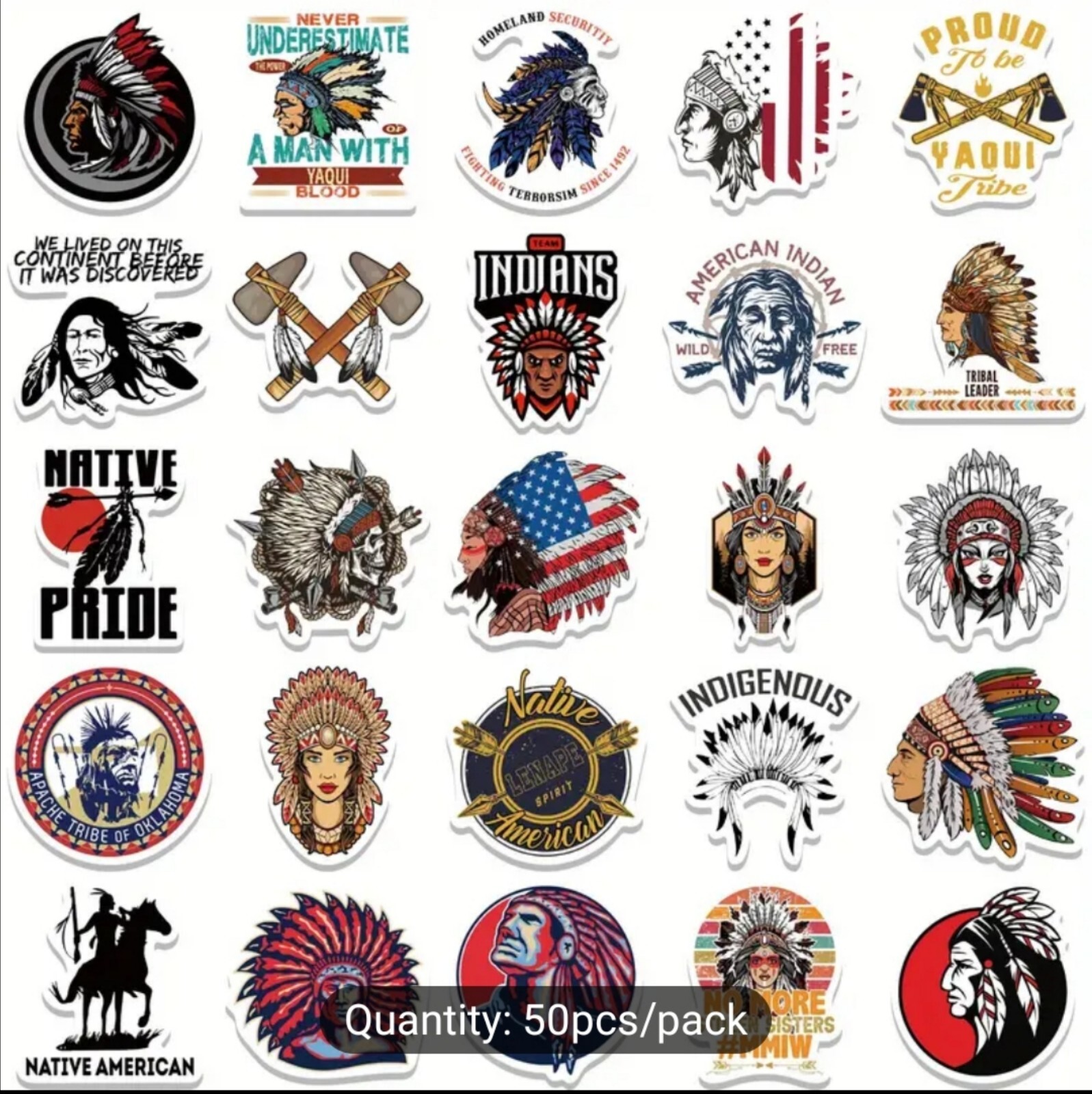 10 PCS Mini Native American Native Indigenous Pride Stickers BRAND NEW
