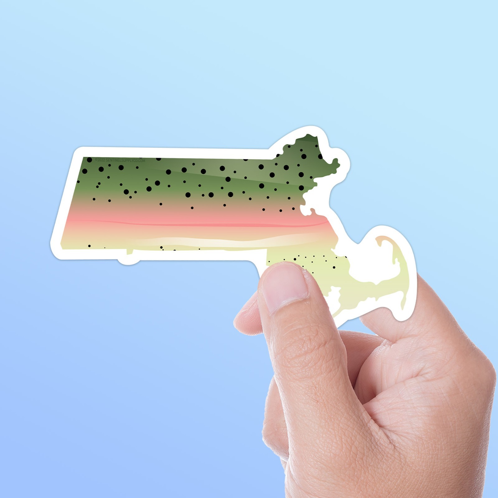 Rainbow Trout Massachusetts Fishing Sticker