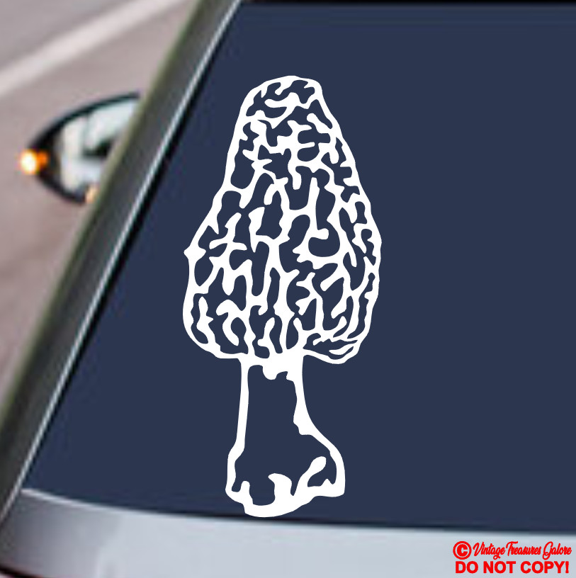 MORCHELLA TRUE MOREL MUSHROOM Vinyl Decal Sticker Car Truck Window Wall Bumper