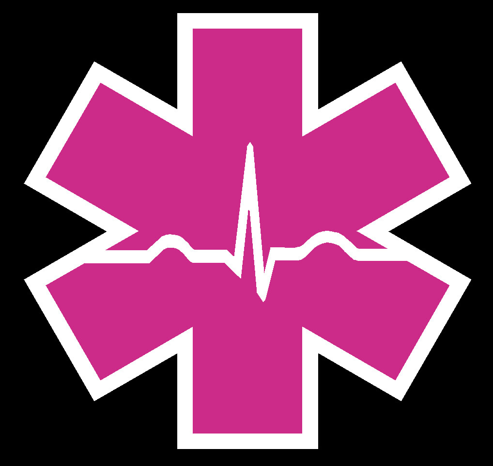 Hot Pink Reflective Cardiac Star Of Life Car Fire Helmet Decal EMT multiple size