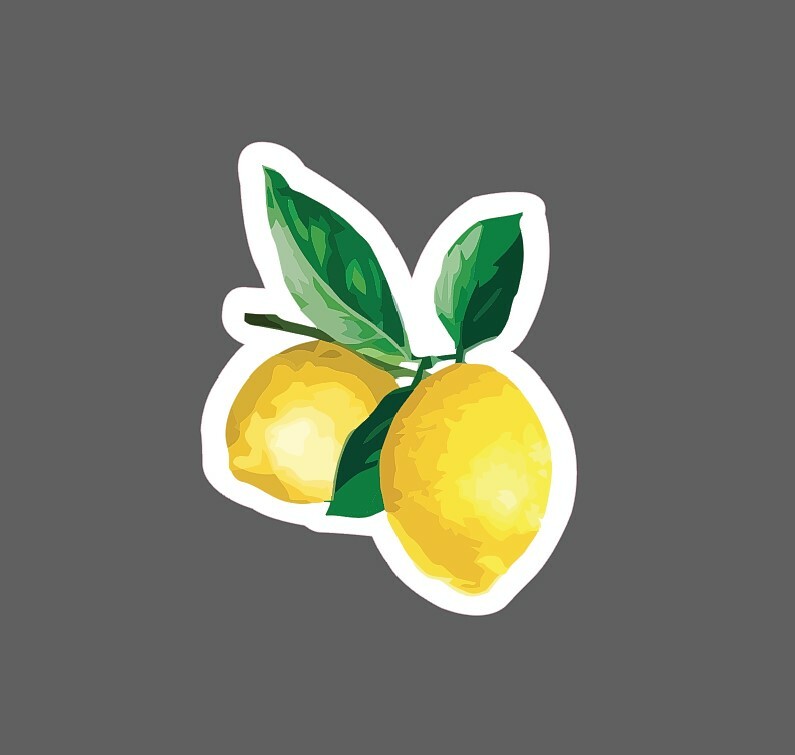 Lemons Sticker Citrus Fruit Waterproof – Buy Any 4 For $1.75 Each Storewide!